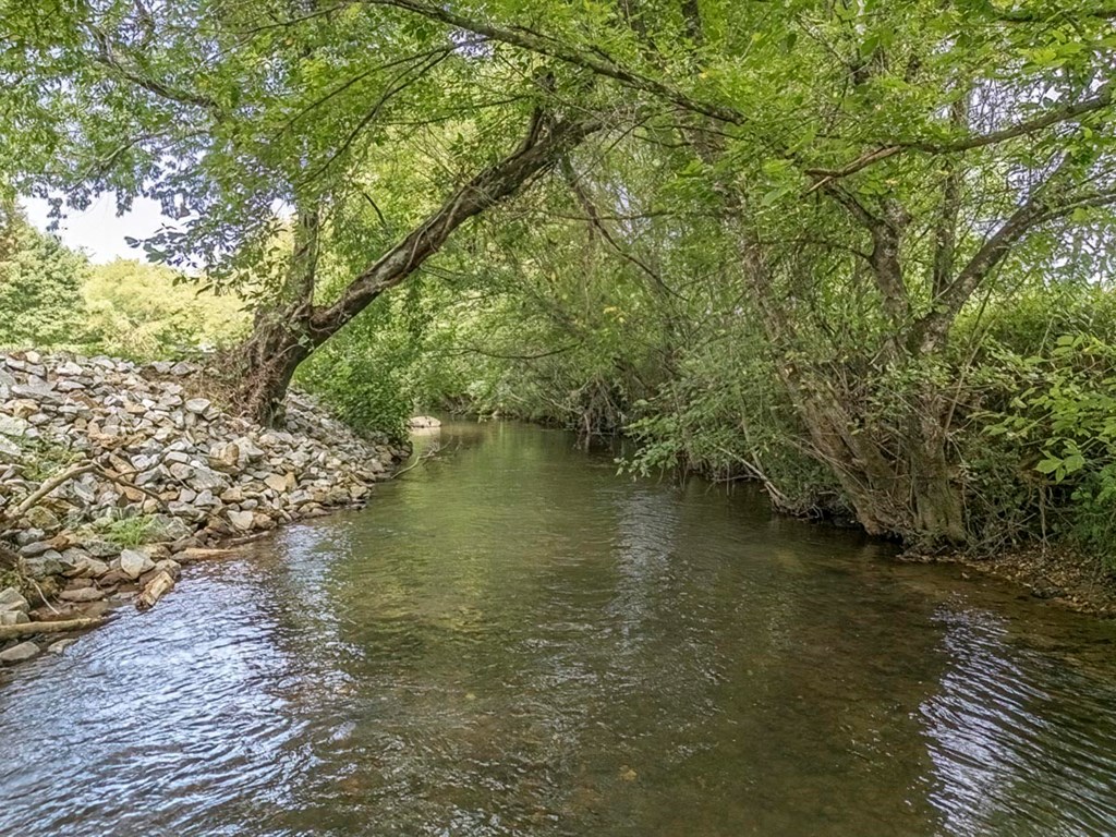 L42 Mountain Meadows Circle Morganton, GA 30560 - Photo 31 of 39