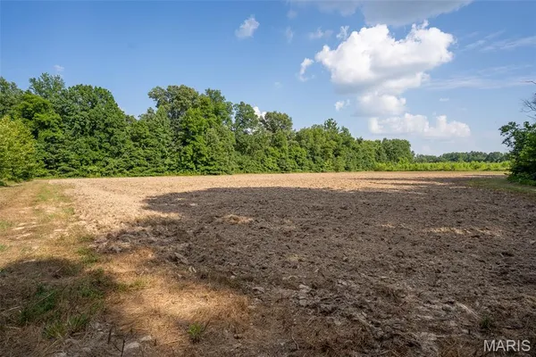 $375,000 | 0 County Road 532, Williamsville, MO 63967