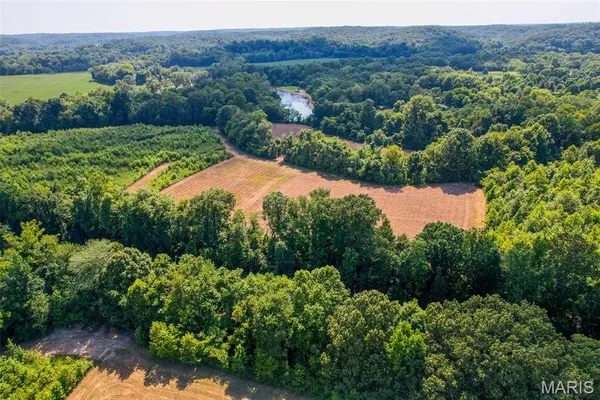 $375,000 | 0 County Road 532, Williamsville, MO 63967