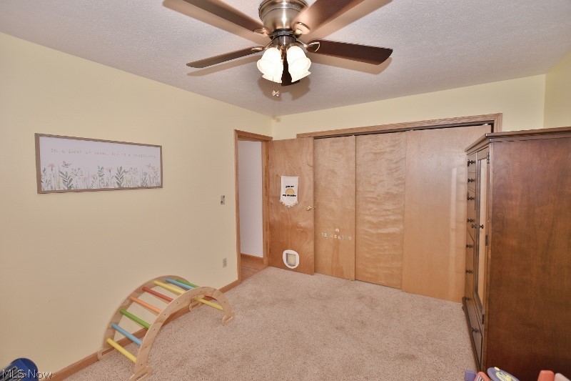 5007 Raven Road Southeast Carrollton, OH 44615 - Photo 21 of 50 Another angle of the second bedroom and double closet.
