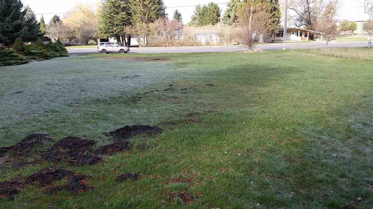 Xxxx South Prairie View Road Waverly, WA 99039 - Photo 1 of 1 Gallery Image 1