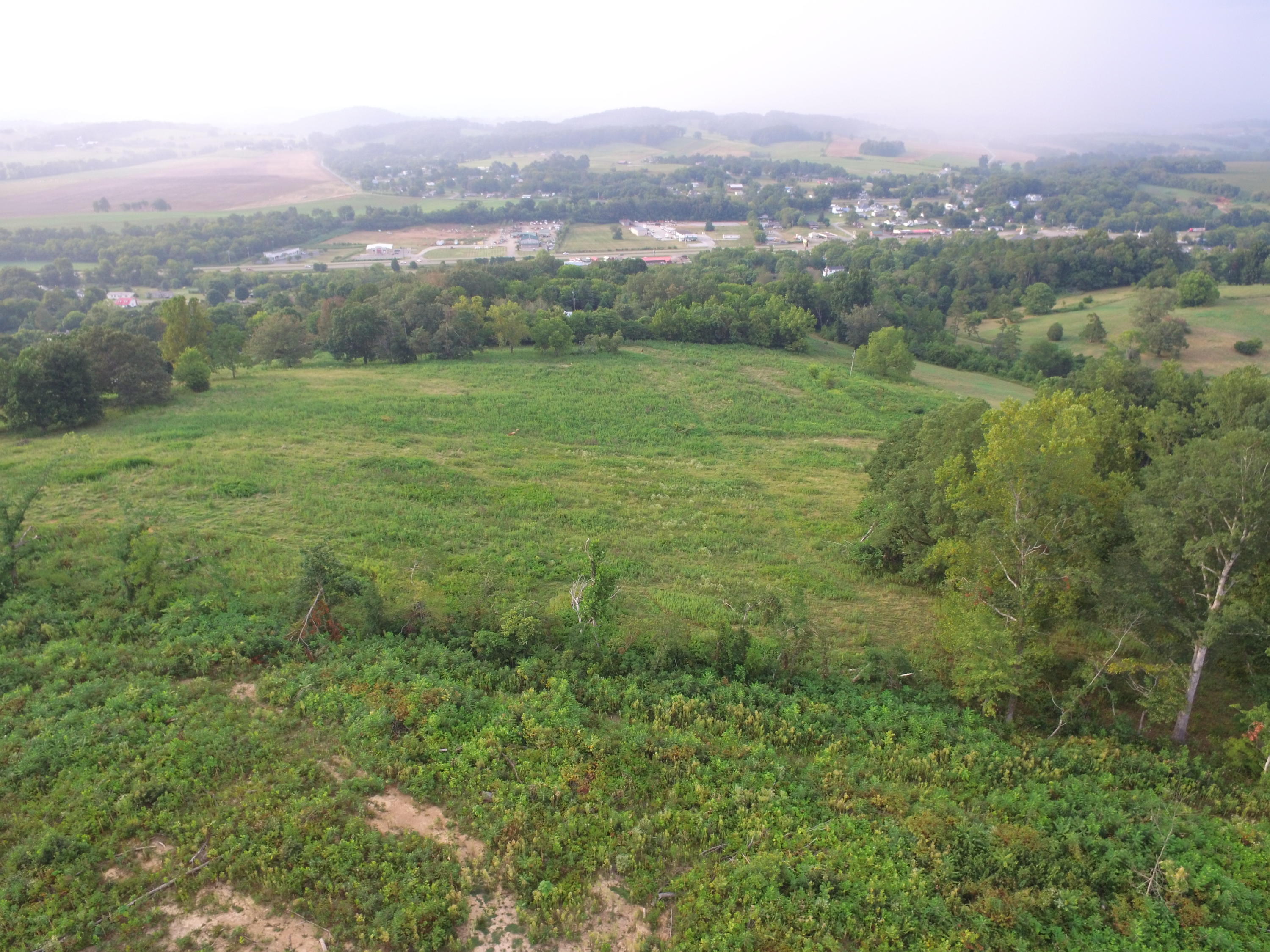 1756 Quarry Road New Market, TN 37820 - Photo 1 of 28 DJI_0056