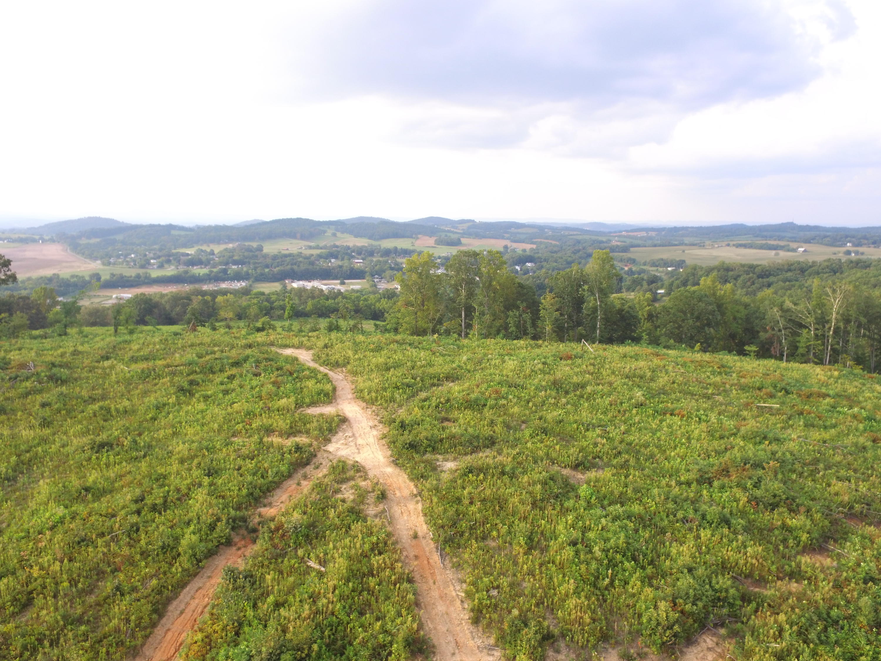 1756 Quarry Road New Market, TN 37820 - Photo 12 of 28 DJI_0039