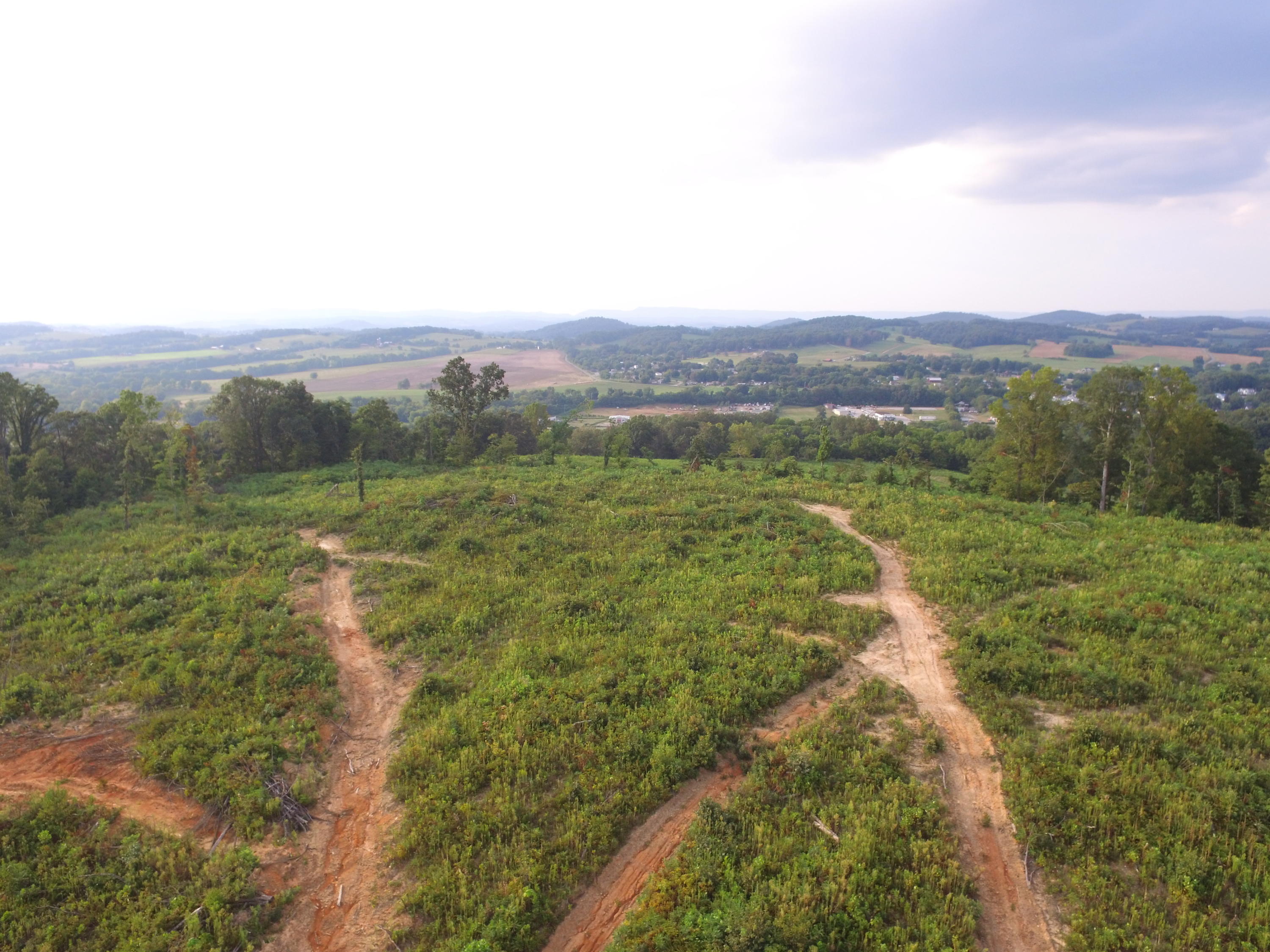 1756 Quarry Road New Market, TN 37820 - Photo 13 of 28 DJI_0040