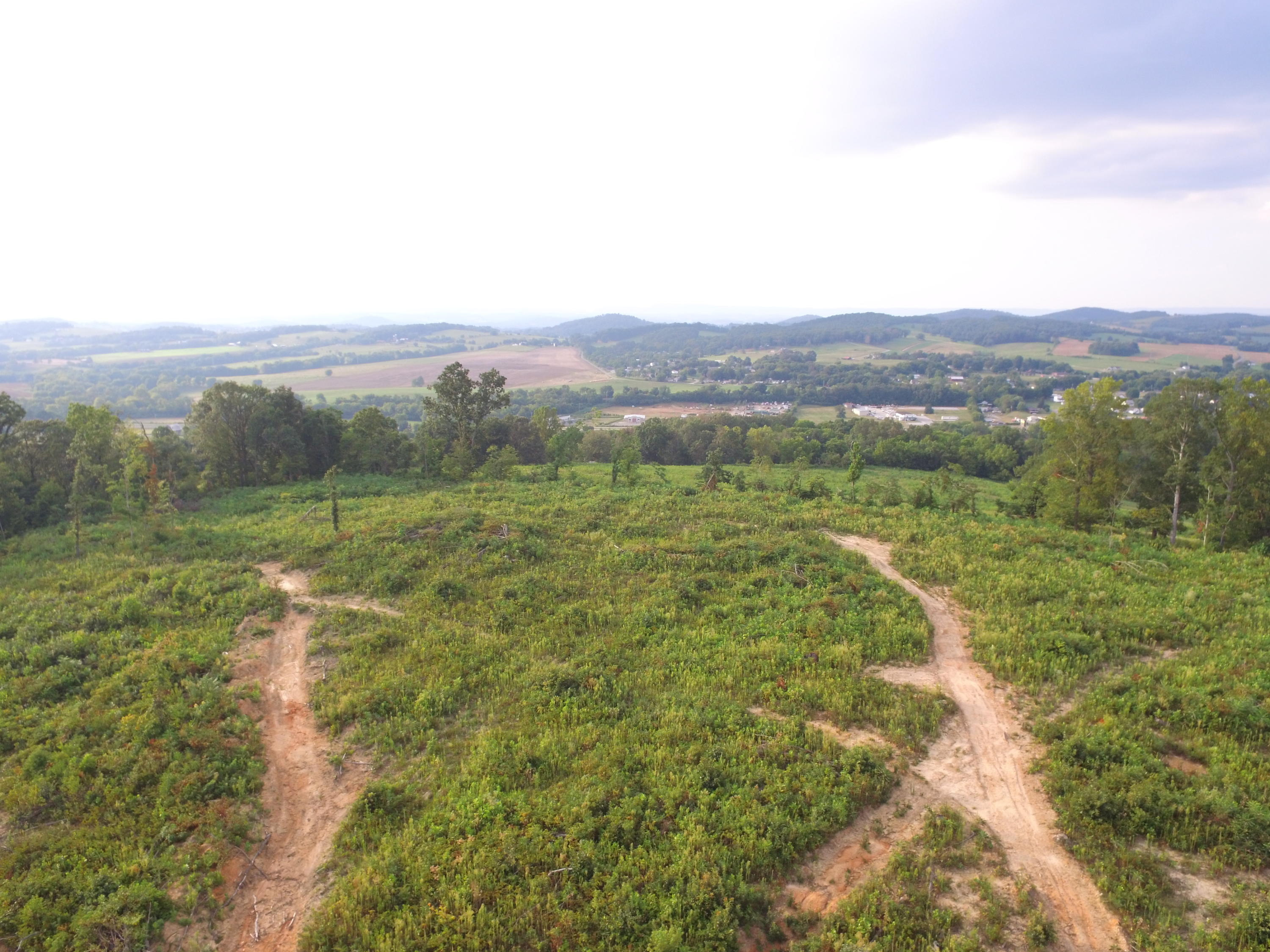 1756 Quarry Road New Market, TN 37820 - Photo 14 of 28 DJI_0041