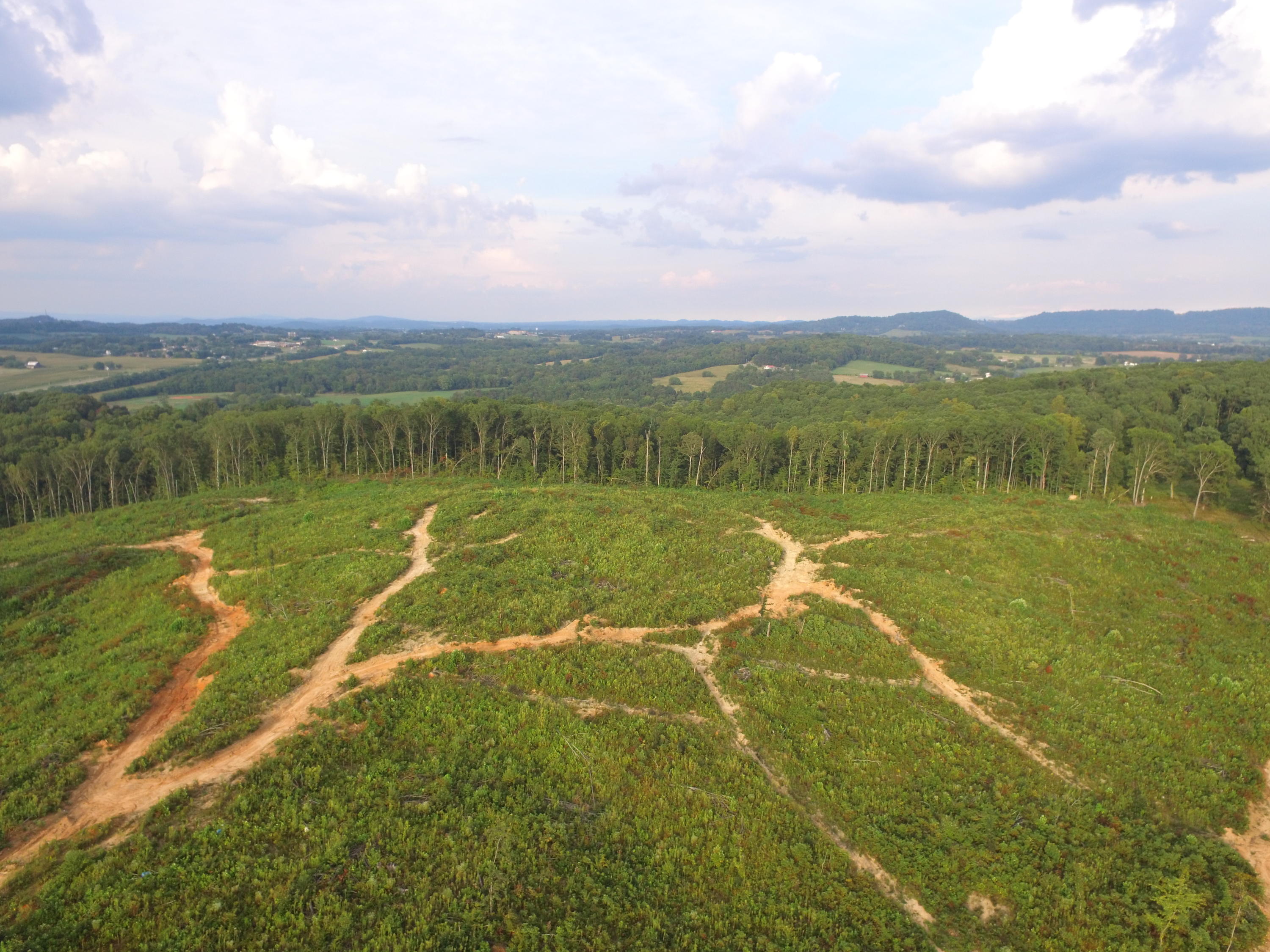 1756 Quarry Road New Market, TN 37820 - Photo 15 of 28 DJI_0043