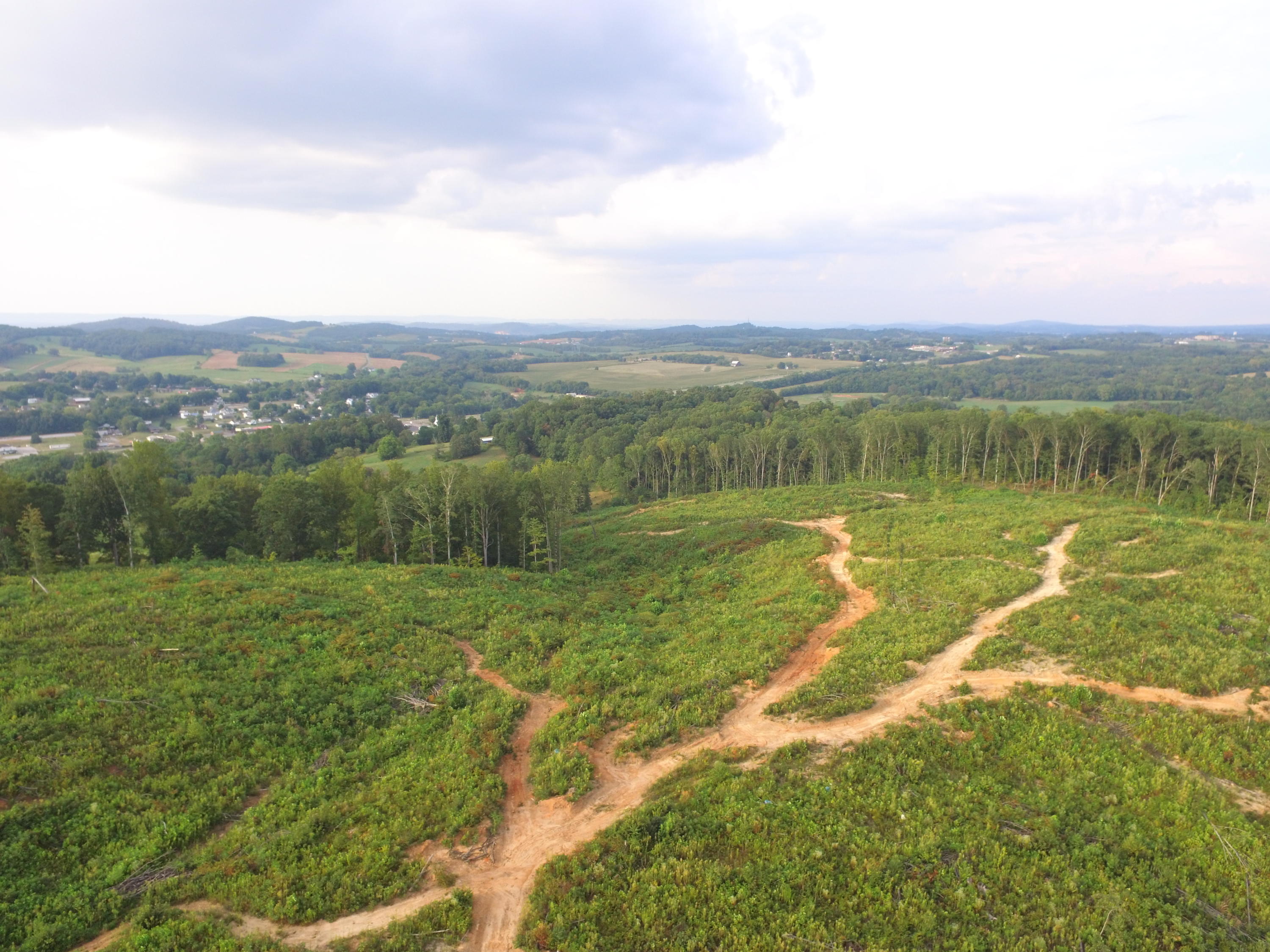 1756 Quarry Road New Market, TN 37820 - Photo 16 of 28 DJI_0044