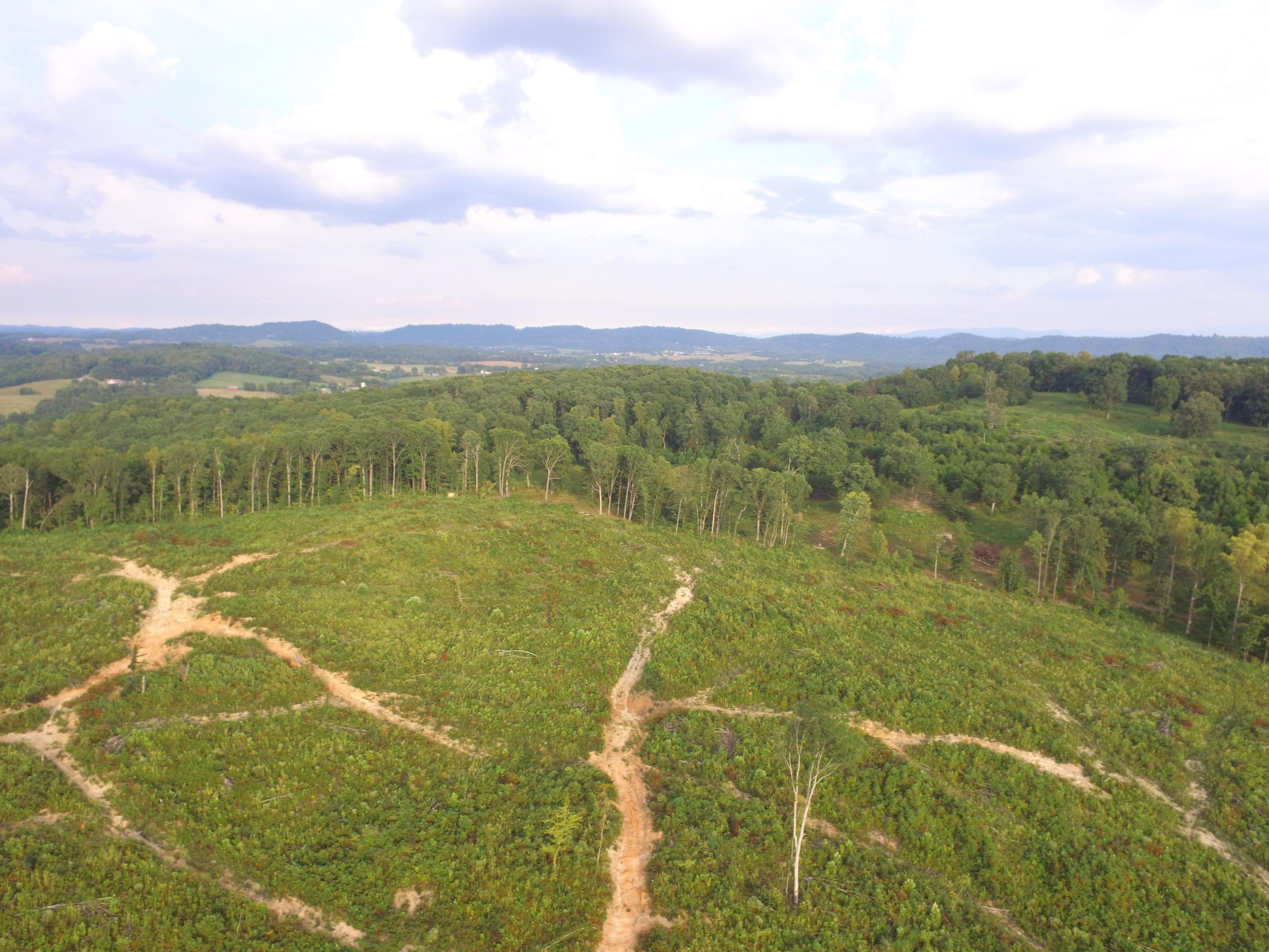 1756 Quarry Road New Market, TN 37820 - Photo 17 of 28 DJI_0046