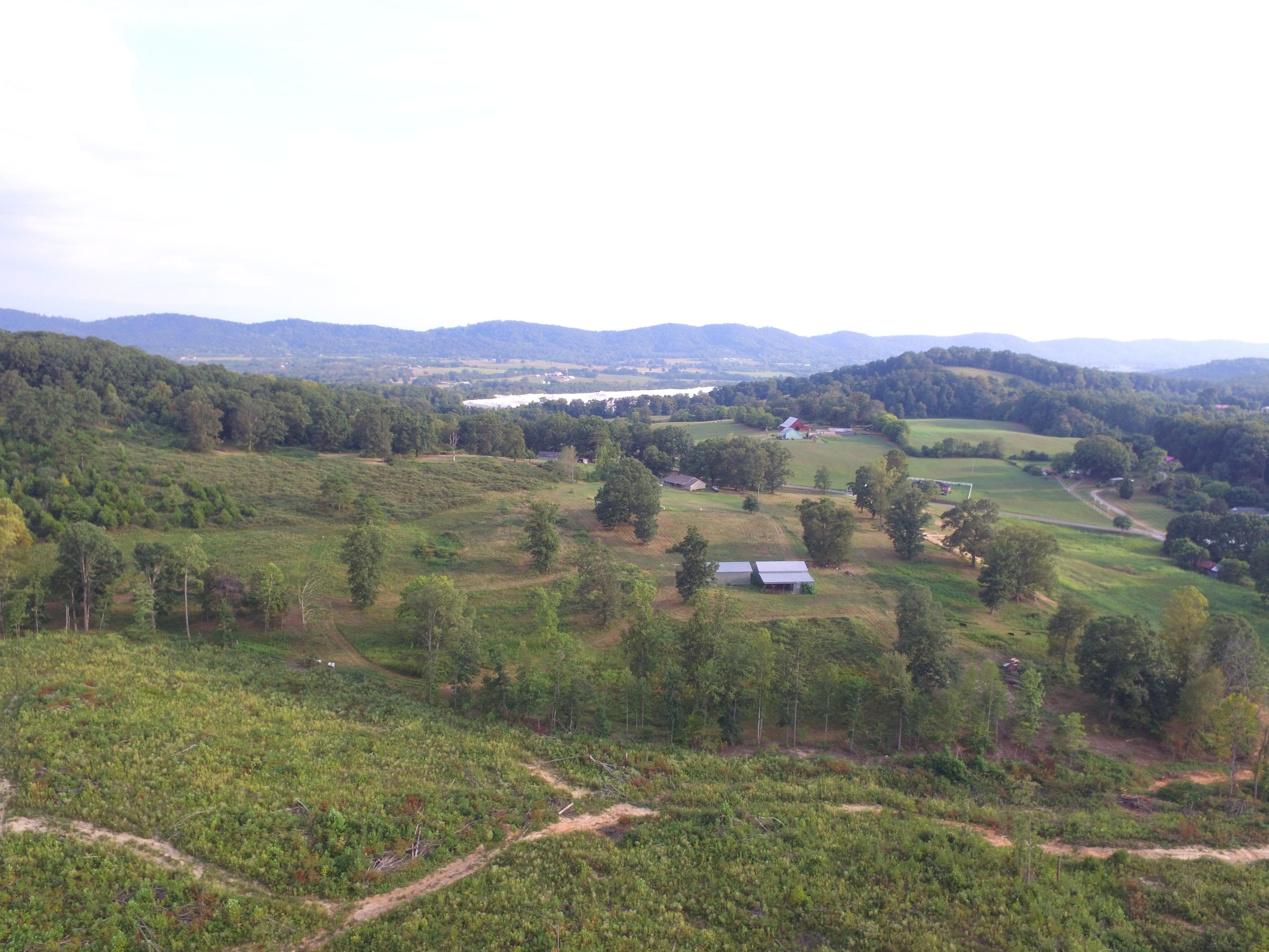 1756 Quarry Road New Market, TN 37820 - Photo 18 of 28 DJI_0048