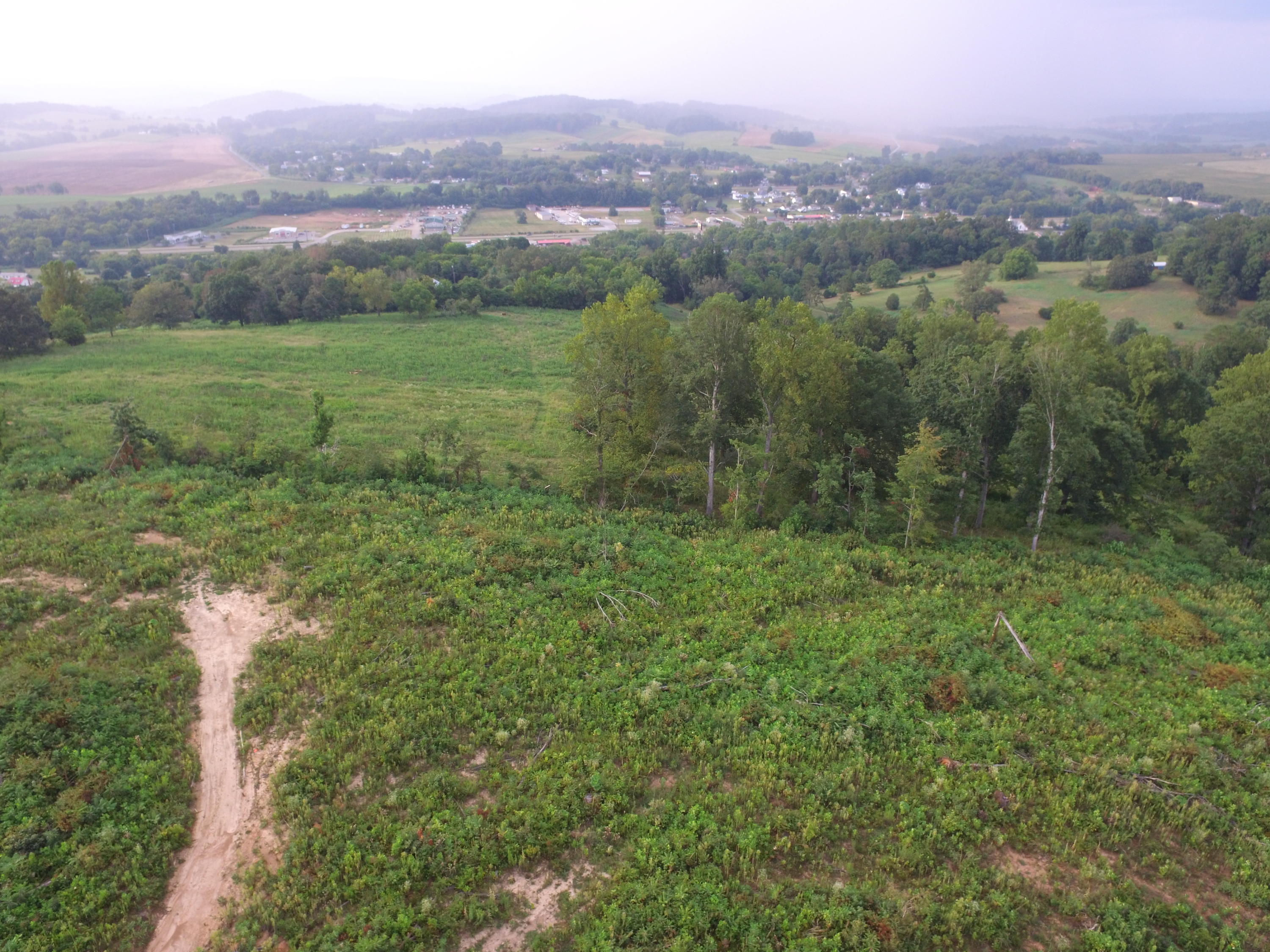 1756 Quarry Road New Market, TN 37820 - Photo 19 of 28 DJI_0051
