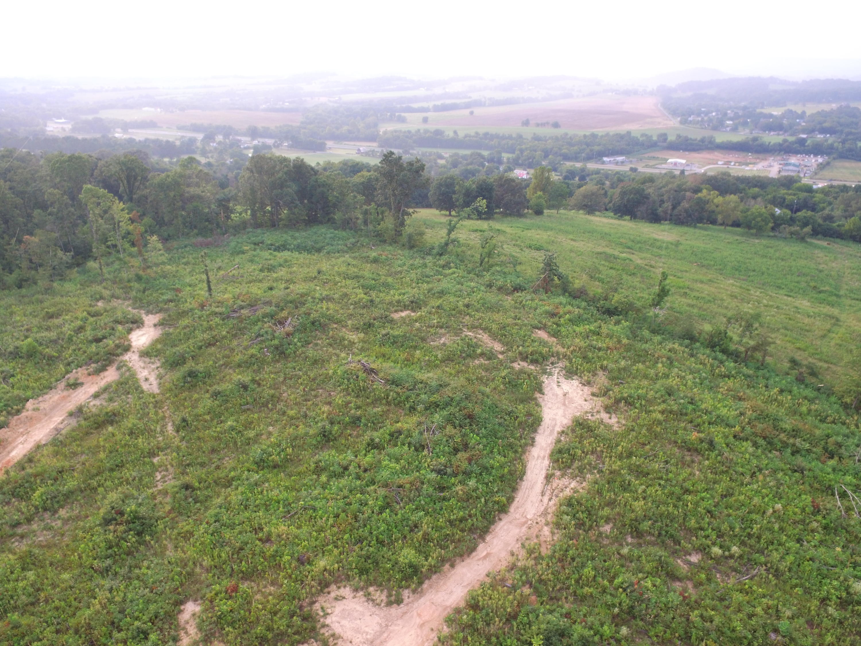 1756 Quarry Road New Market, TN 37820 - Photo 20 of 28 DJI_0052