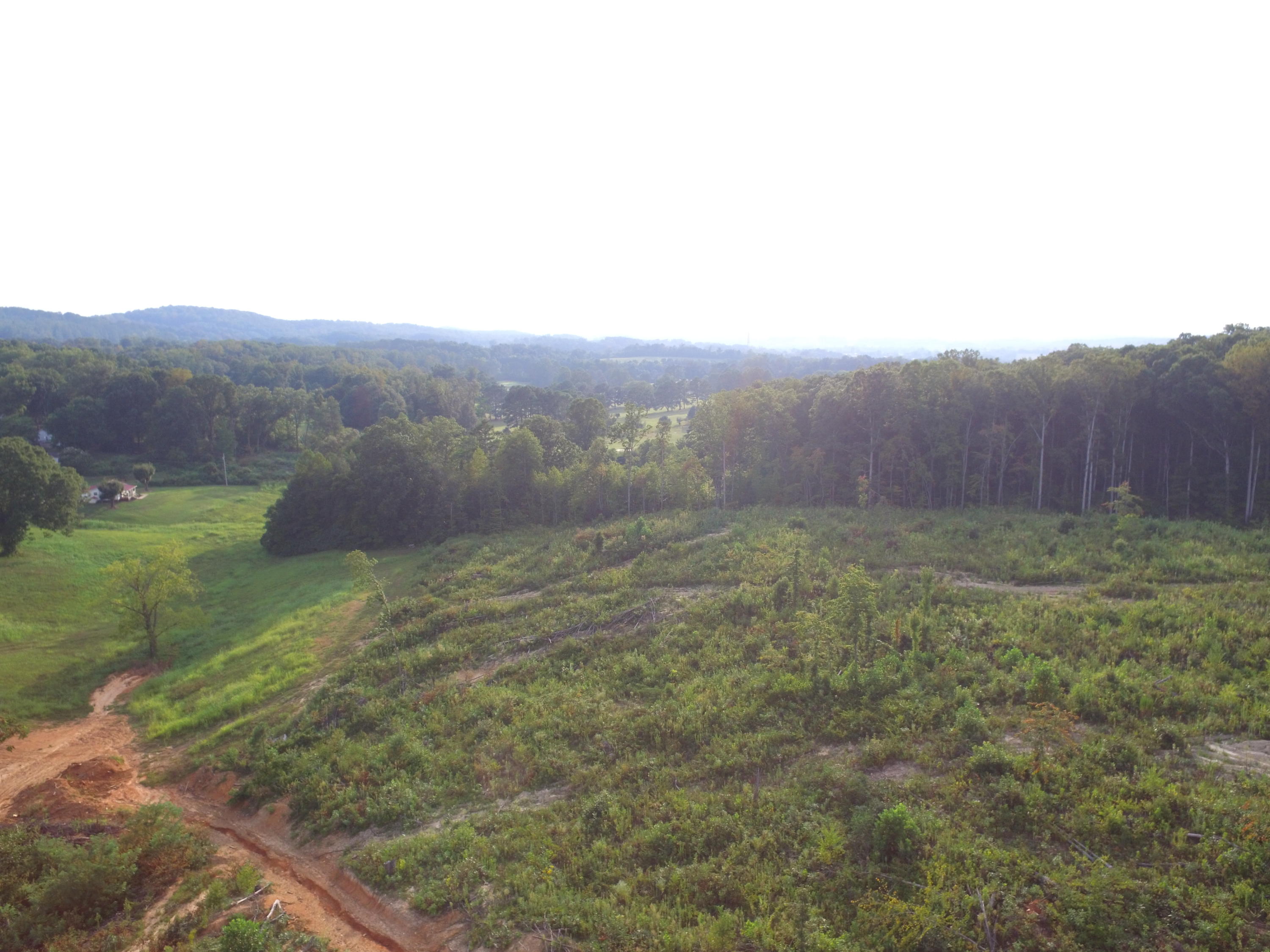 1756 Quarry Road New Market, TN 37820 - Photo 3 of 28 DJI_0037