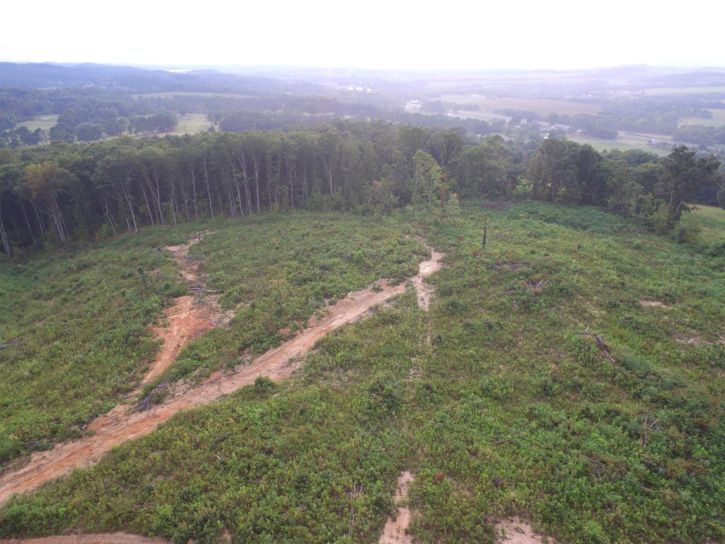 1756 Quarry Road New Market, TN 37820 - Photo 22 of 28 DJI_0053