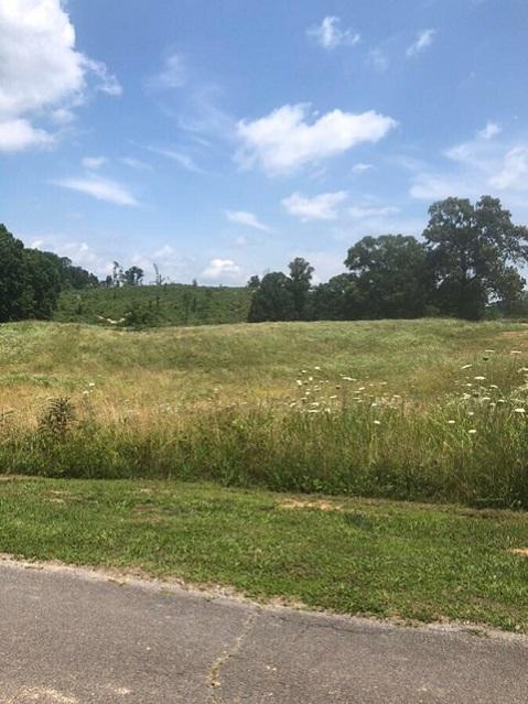 1756 Quarry Road New Market, TN 37820 - Photo 23 of 28 jpeg-imag