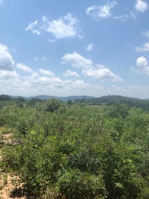 1756 Quarry Road New Market, TN 37820 - Photo 24 of 28 IMG_24471