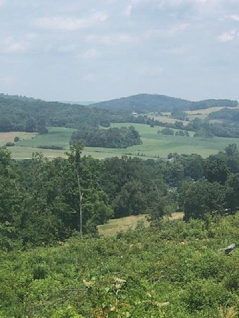 1756 Quarry Road New Market, TN 37820 - Photo 25 of 28 IMG_24501