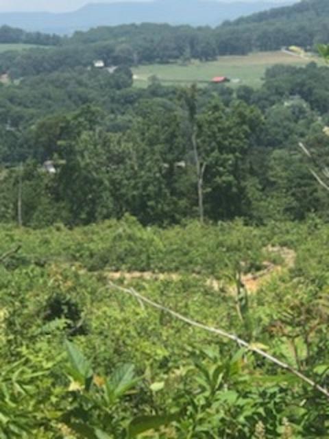 1756 Quarry Road New Market, TN 37820 - Photo 26 of 28 IMG_24521