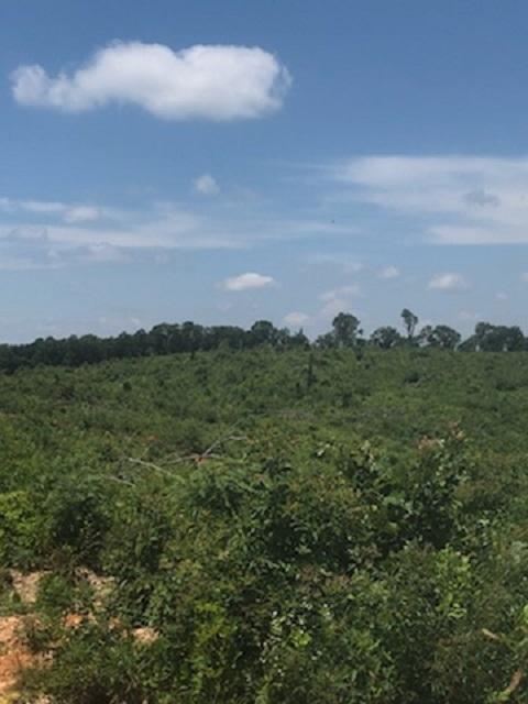 1756 Quarry Road New Market, TN 37820 - Photo 27 of 28 IMG_24531