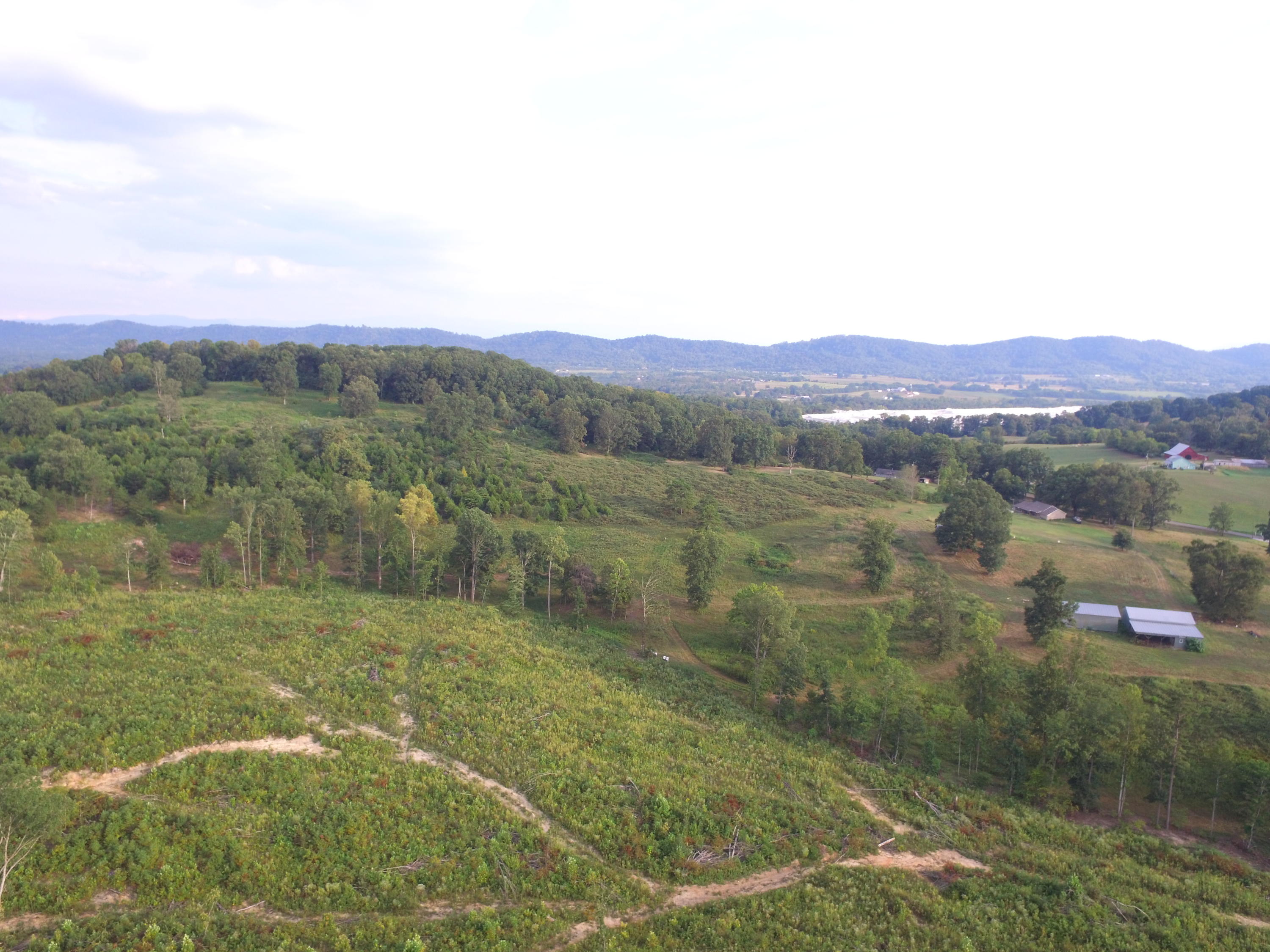 1756 Quarry Road New Market, TN 37820 - Photo 4 of 28 DJI_0047