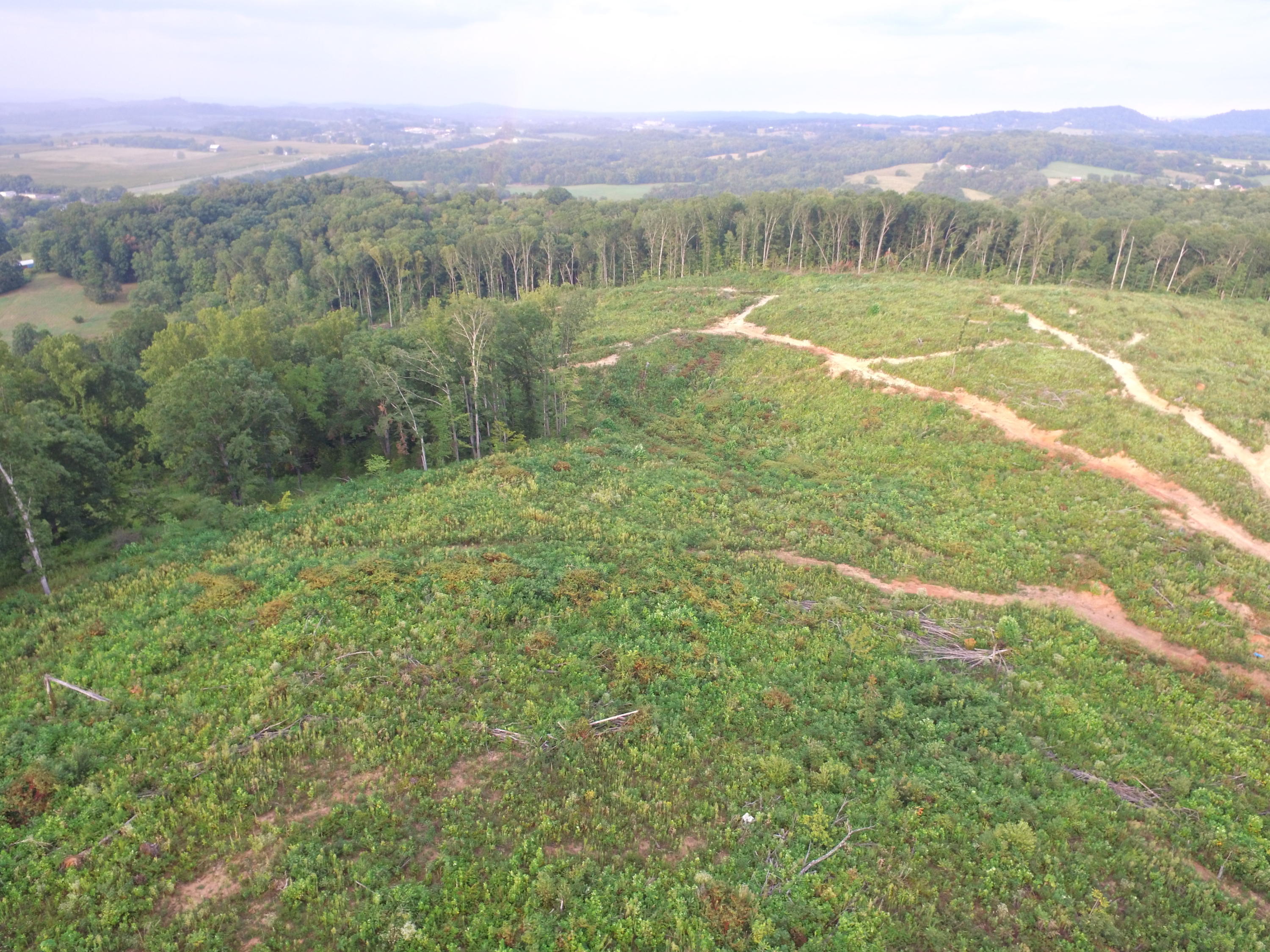 1756 Quarry Road New Market, TN 37820 - Photo 5 of 28 DJI_0050