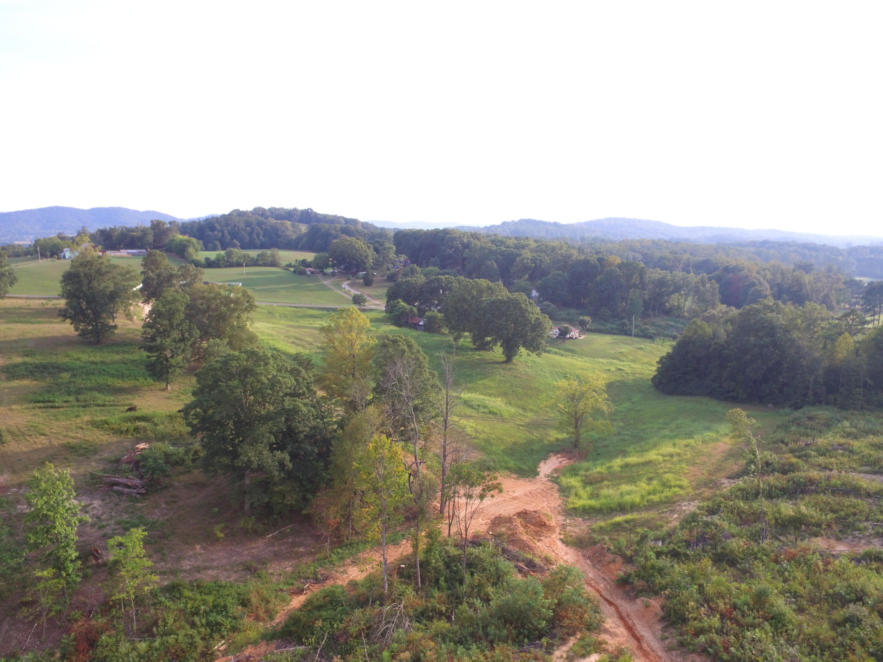 1756 Quarry Road New Market, TN 37820 - Photo 8 of 28 DJI_0038