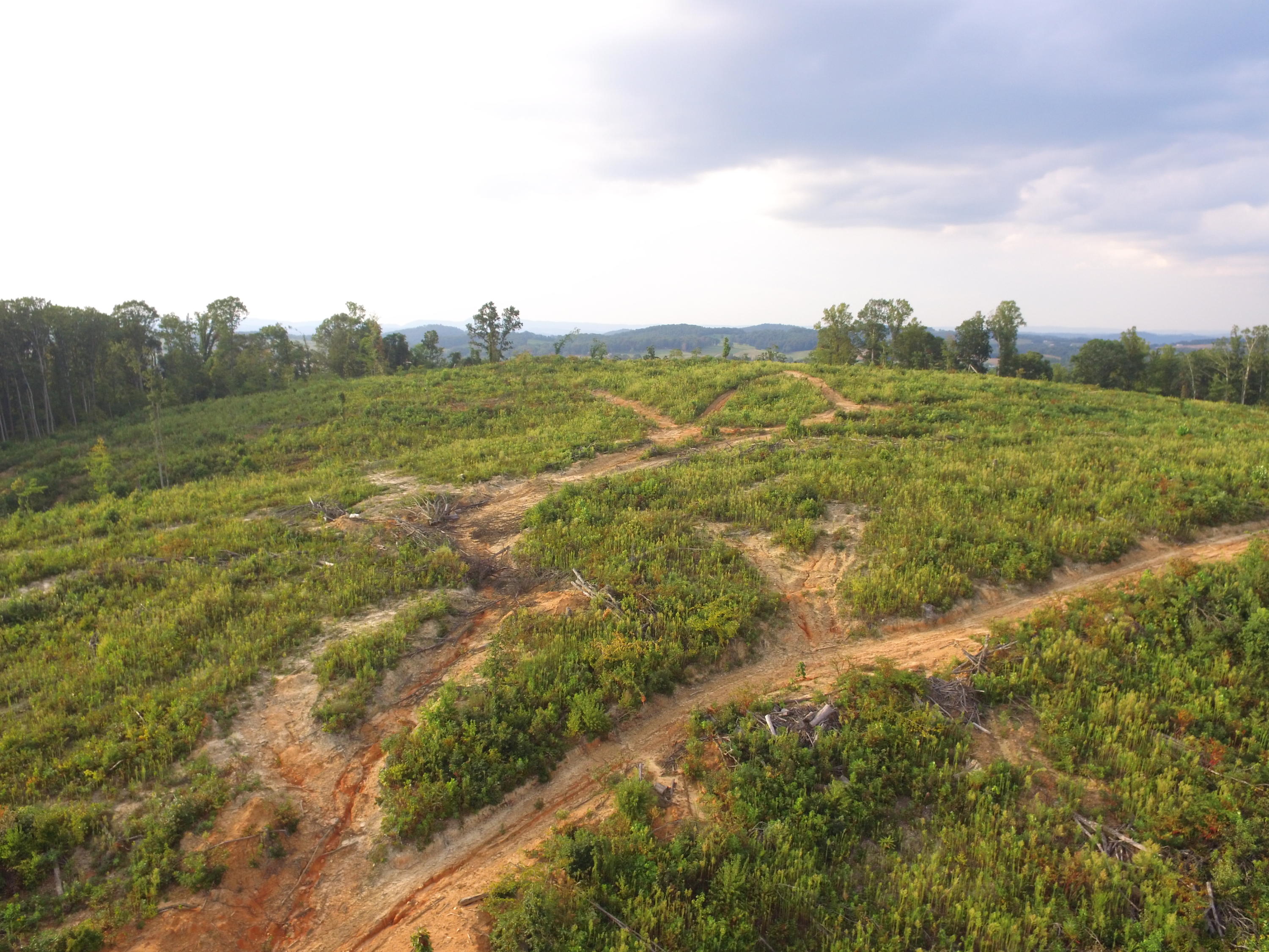 1756 Quarry Road New Market, TN 37820 - Photo 10 of 28 DJI_0035