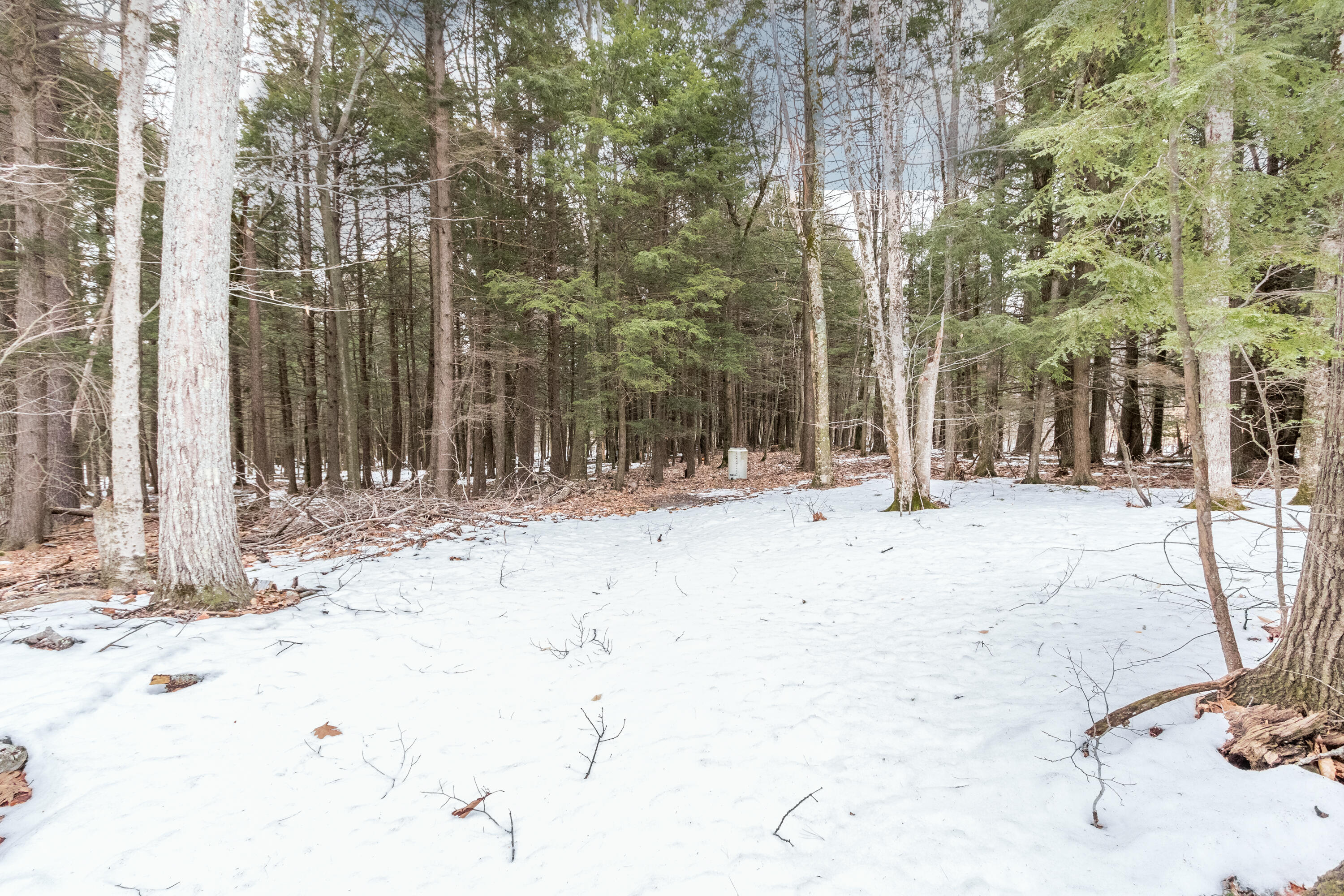 249 Dunnell Road Buxton, ME 04093 - Photo 48 of 48 20230220DS-71065