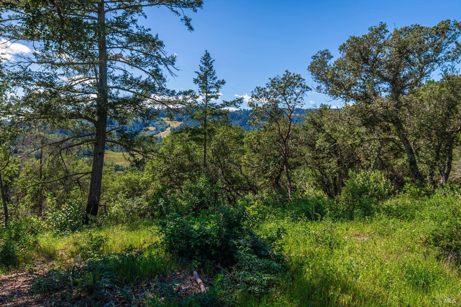 0 Dry Creek Road Napa, CA 94558 - Photo 93 of 98