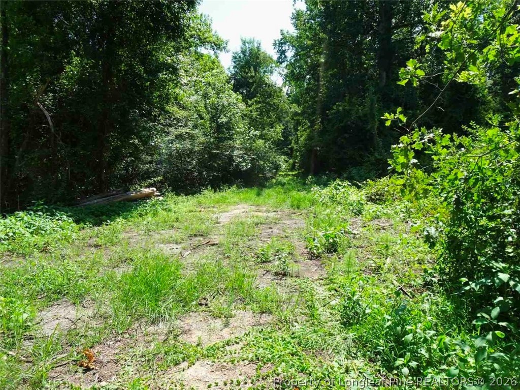 0 Ridgefield Road Eastover, NC 28312 - Photo 3 of 5 street view