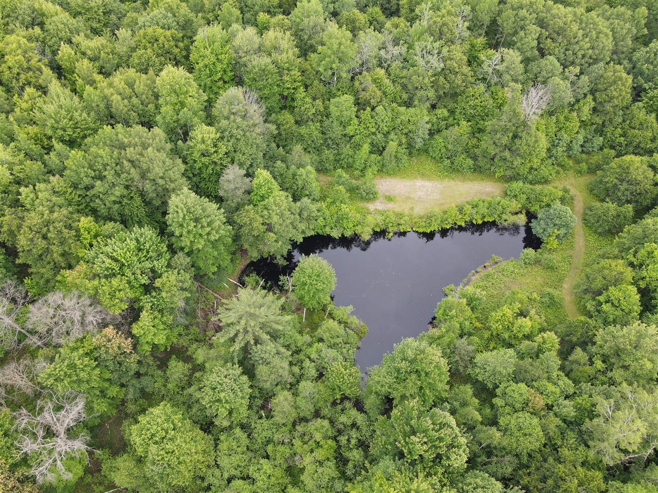 11401 Little George Lake Road Gladwin, MI 48624 - Photo 34 of 98