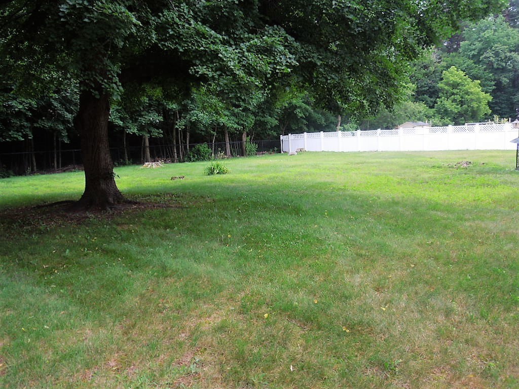 8 Howard Road Chelmsford, MA 01824 - Photo 29 of 30 a view of a park with a tree