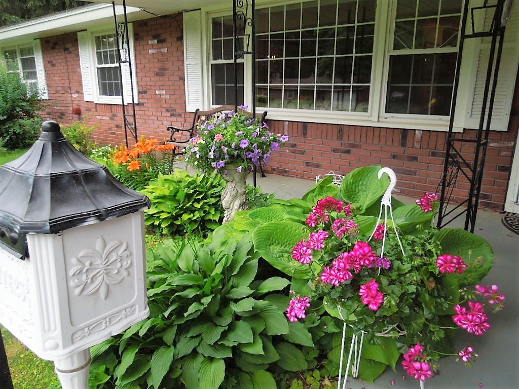 8 Howard Road Chelmsford, MA 01824 - Photo 3 of 30 a flower plants in front of the house