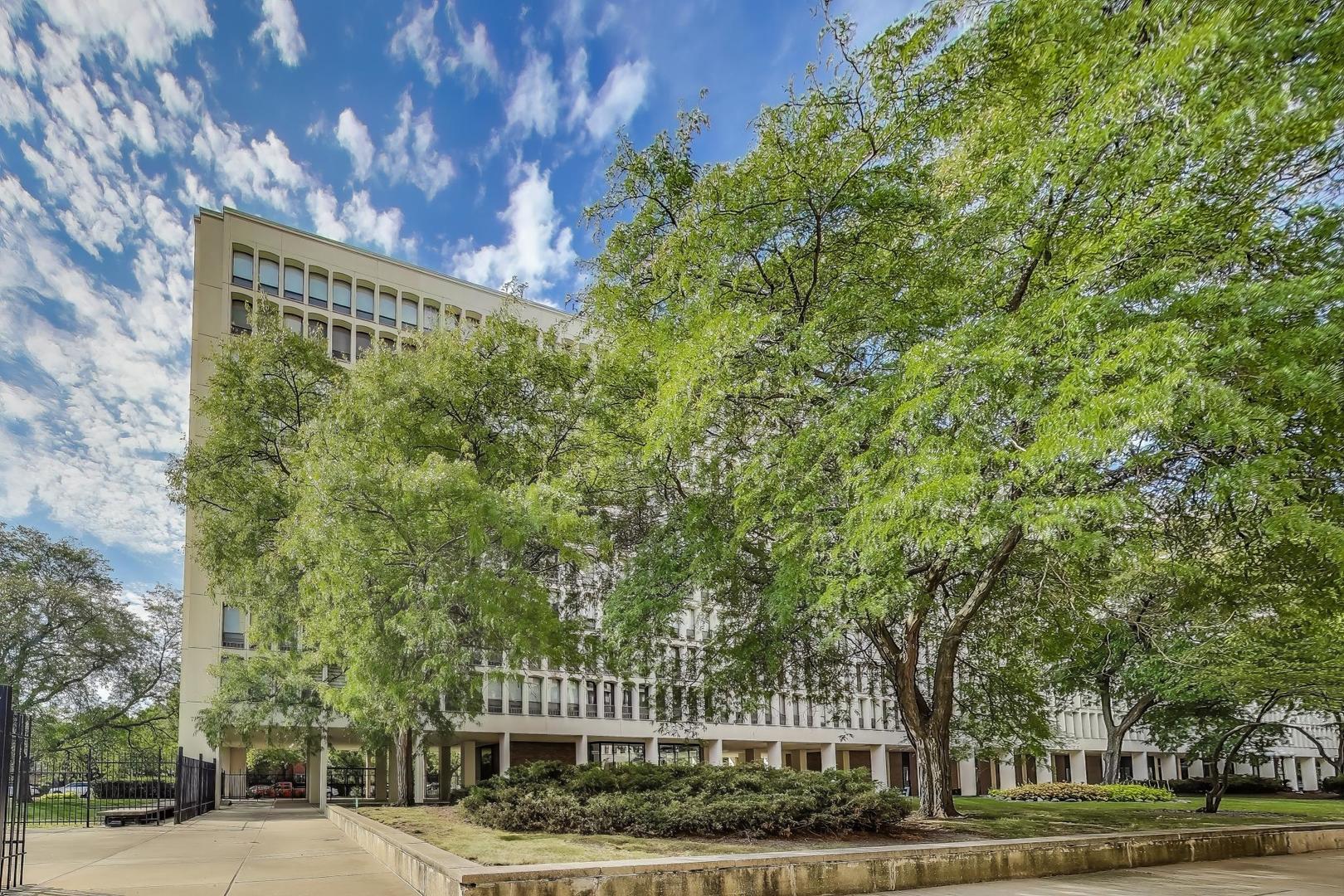 1401 East 55th Street, Unit 602N Chicago, IL 60615 - Photo 2 of 18