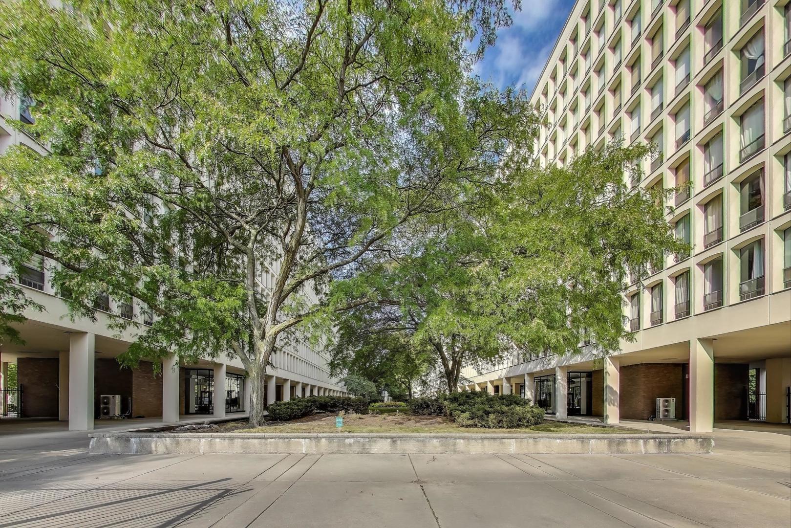 1401 East 55th Street, Unit 602N Chicago, IL 60615 - Photo 3 of 18