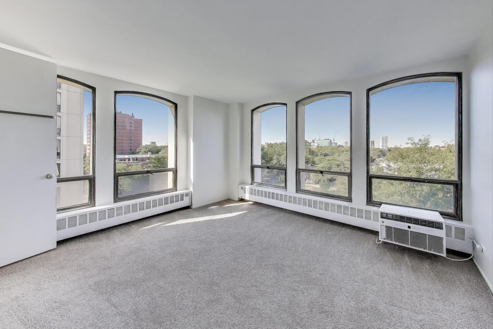 1401 East 55th Street, Unit 602N Chicago, IL 60615 - Photo 10 of 18