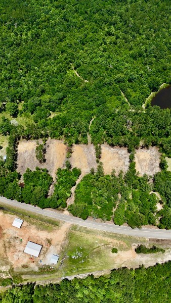 1.32 Acres Airport Road Andalusia, AL 36421 - Photo 5 of 12