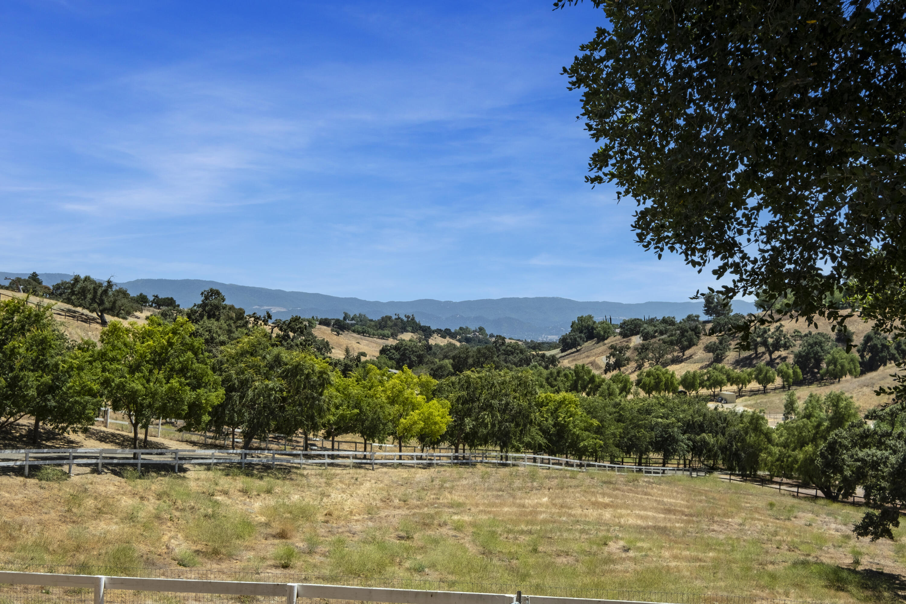 a view of a yard with an outdoor space