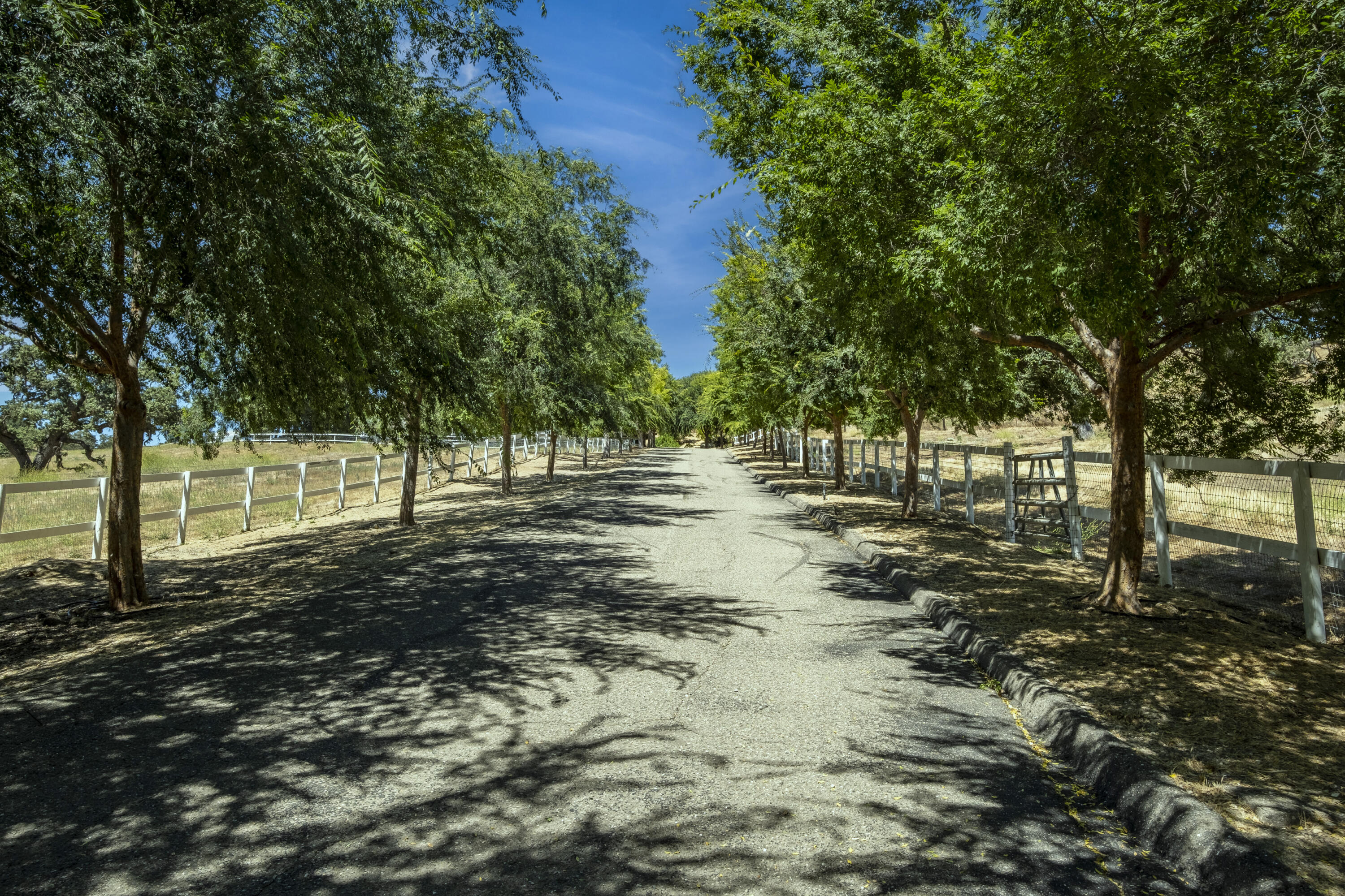 3160 Long Canyon Road Santa Ynez, CA 93460 - Photo 11 of 17 a view of outdoor space with trees