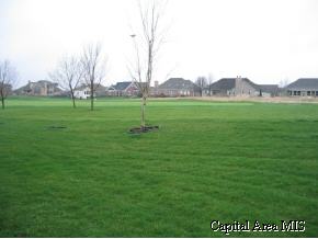 4405 Blackwolf Road Springfield, IL 62711 - Photo 5 of 9