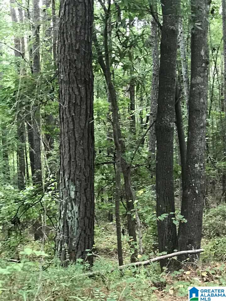 Lakeside Lane, Unit 19 Alpine, AL 35014 - Photo 1 of 1