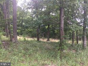 Perry Road Winchester, VA 22602 - Photo 3 of 3