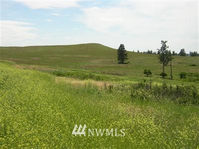 28101 Bachelor Prairie Road Creston, WA 99117 - Photo 3 of 10 Gallery Image 3