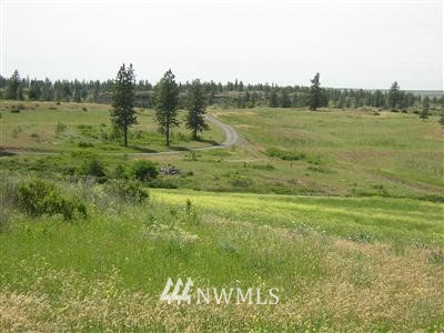 28101 Bachelor Prairie Road Creston, WA 99117 - Photo 4 of 10 Gallery Image 4