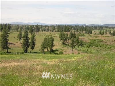 28101 Bachelor Prairie Road Creston, WA 99117 - Photo 6 of 10 Gallery Image 6