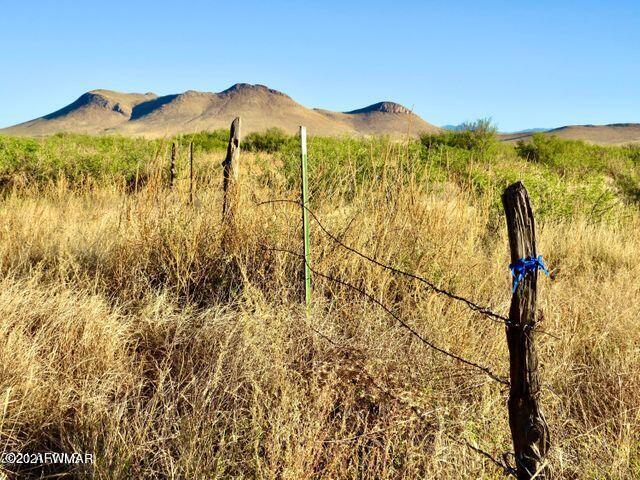 40.1 Acres Pearce Az 85625 Willcox, AZ 85643 - Photo 1 of 13 a view of a city