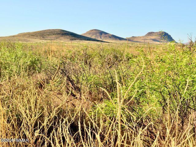40.1 Acres Pearce Az 85625 Willcox, AZ 85643 - Photo 11 of 13 a view of a sky from a mountain
