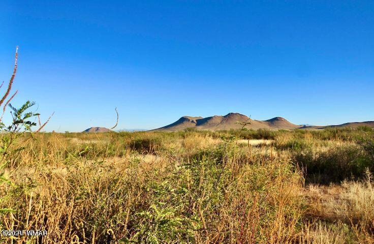 40.1 Acres Pearce Az 85625 Willcox, AZ 85643 - Photo 2 of 13 a view of a mountain range in a cloudy sky