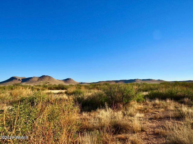 40.1 Acres Pearce Az 85625 Willcox, AZ 85643 - Photo 3 of 13 a view of mountain