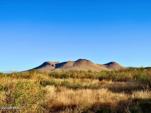 40.1 Acres Pearce Az 85625 Willcox, AZ 85643 - Photo 4 of 13 a view of mountain