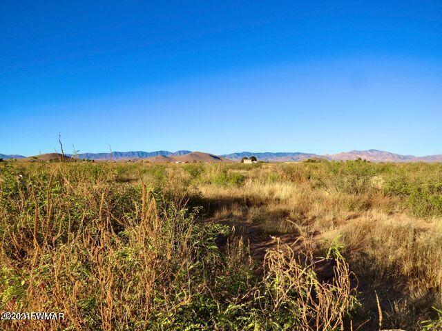 40.1 Acres Pearce Az 85625 Willcox, AZ 85643 - Photo 5 of 13 a view of a city